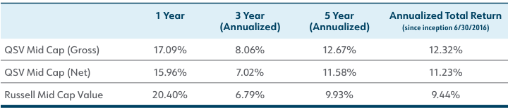 QSV Mid Cap Performance